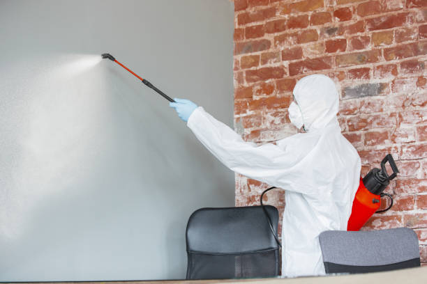  Countryside, IL Mold Removal Pros