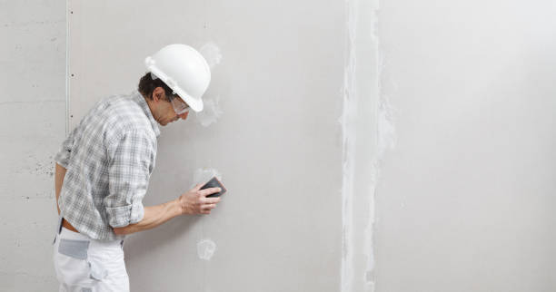 Best Mold Remediation for Healthcare Facilities  in Countryside, IL
