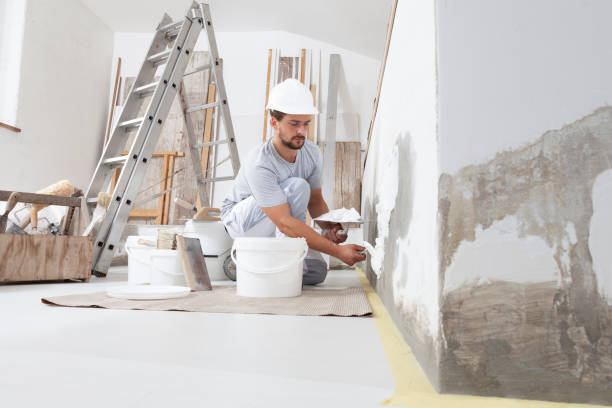 Best Mold Prevention Services  in Countryside, IL