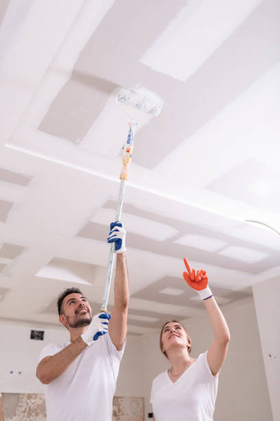 Best Black Mold Removal  in Countryside, IL