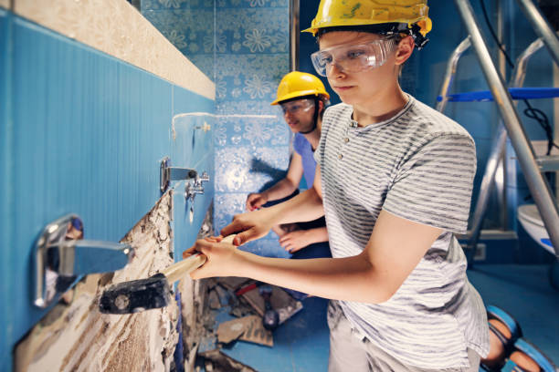 Best Basement Mold Removal  in Countryside, IL