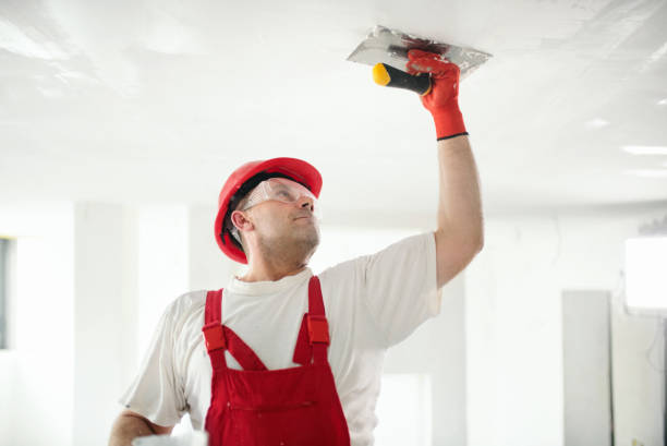 Best Emergency Mold Remediation  in Countryside, IL