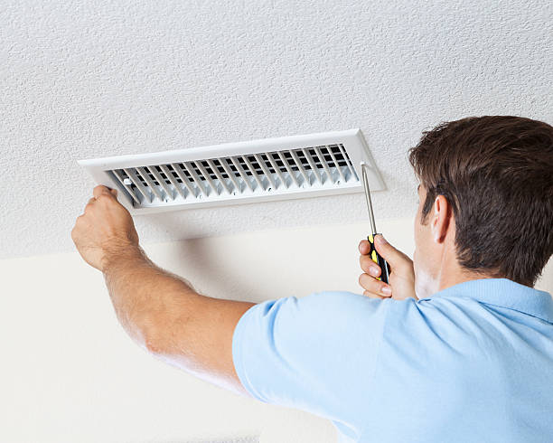 Best Crawl Space Mold Remediation  in Countryside, IL