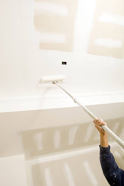 Best Black Mold Removal  in Countryside, IL