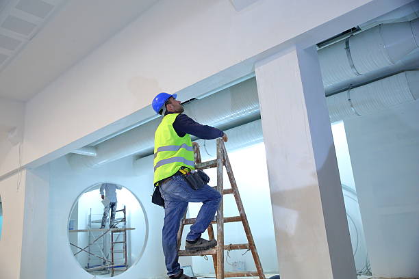 Best Airborne Mold Testing  in Countryside, IL
