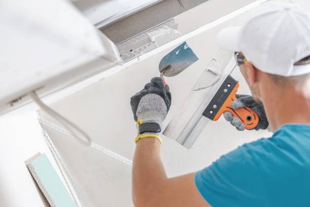 Trusted Countryside, IL Mold Removal Experts